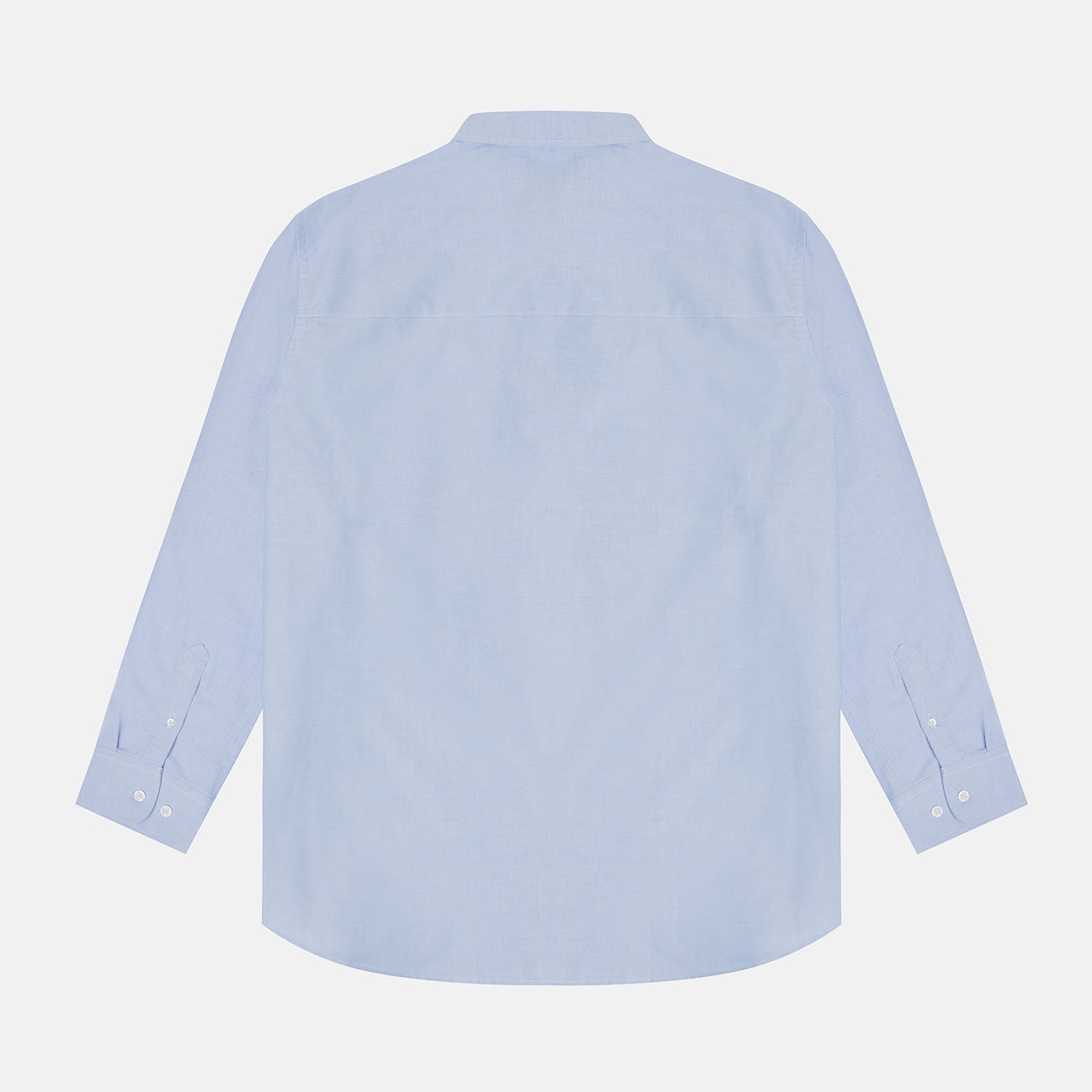 Back Side view Light Blue Oxford Shirt for plus-size men, classic fit