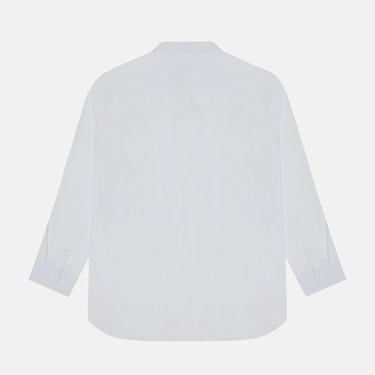 Back Side view White Oxford Shirt for plus-size men, classic fit
